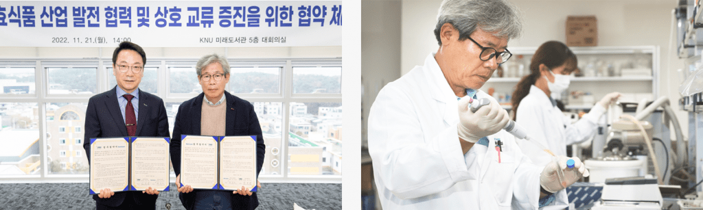 Korean Supplement Results Chart Image