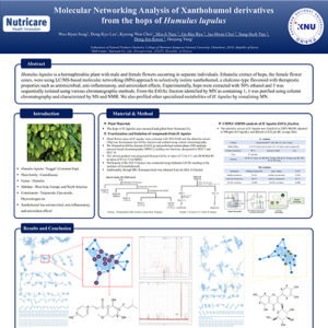 Molecular Networking Analysis of Xanthohumol derivatives from the hops of Humul (NHCK-HOP)