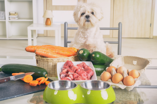 The Growing Global Pet Market