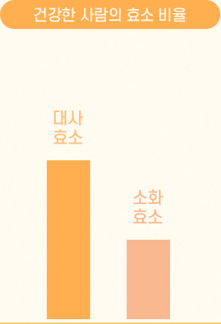 건강한 사람의 효소비율: 대사효소가 소화효소보다 높다.